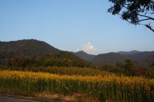 Our gorgeous view during our motorbike ride!