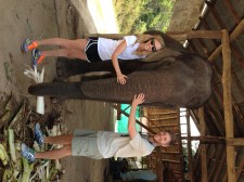 Our elephant, Noi, enjoying a banana tree for lunch.