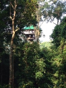 This doesn't look too difficult to build!