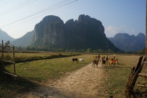 At least the views were nice. Maybe Brian shouldn’t have worn red shorts?