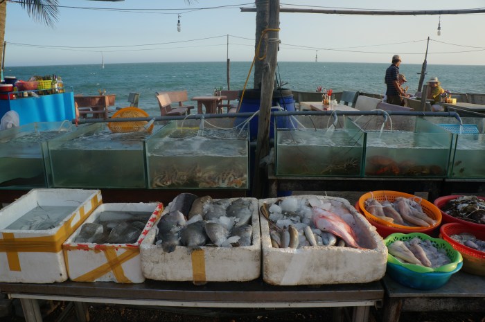 Perhaps these were the fish that made the bus trip up to Hoi An with us. I guess there is no real way of ever knowing!