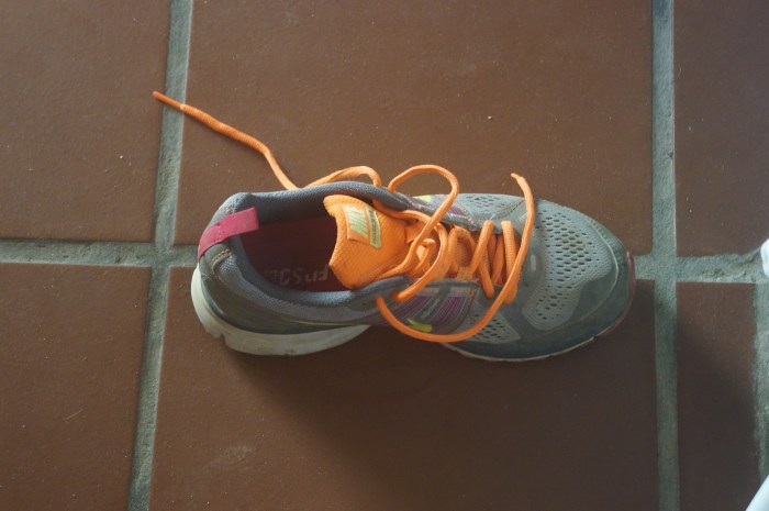 My unsuspecting shoe...