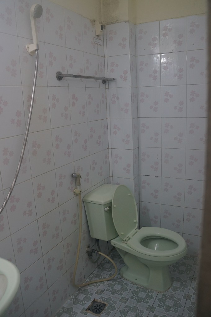 Shower sans shower curtain and bathtub