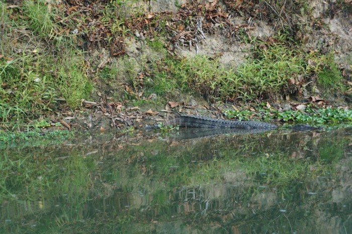 The moment we realized we weren't alone...