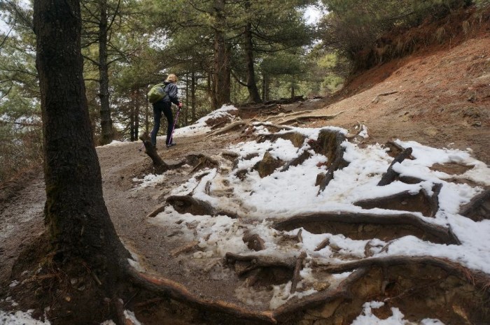 The snow and ice made things interesting on the steep climb up to Namche (except for Alison).  We got very lucky with the weather throughout the trek, though.