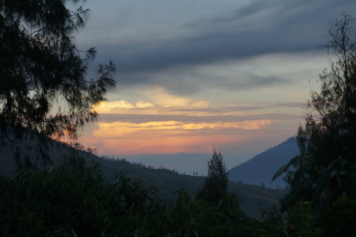 A display of beautiful colors beginning to appear on our hike up!
