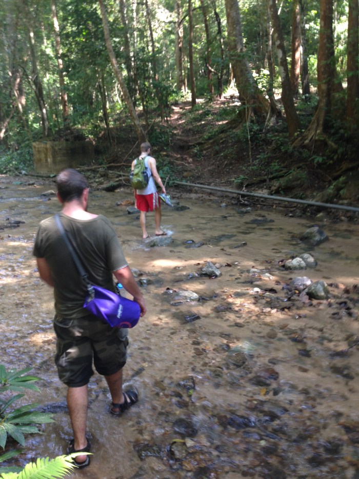 Toward the beginning of the hike