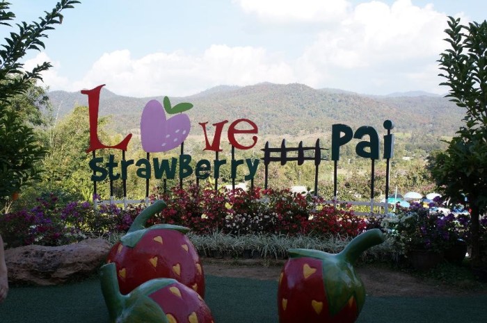 Pai is so ridiculously hippy