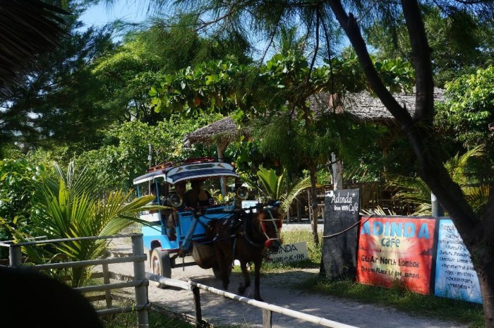 Horse and buggy, the only means of transportation on the island, which you can walk all the way around in about an hour.