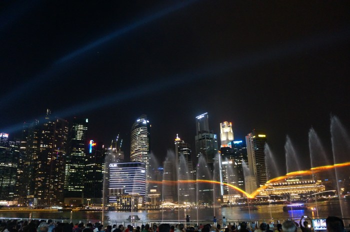 Every night there is a light and water show at the Marina Bay Sands.