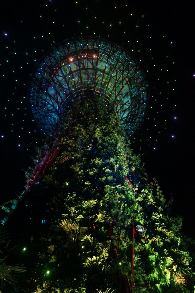 On the same night, we stumbled upon another light show at Gardens By The Bay!