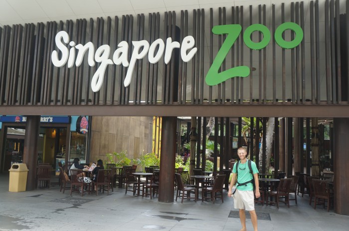 After a short train and bus ride, we arrived and we were ready to play with some animals!