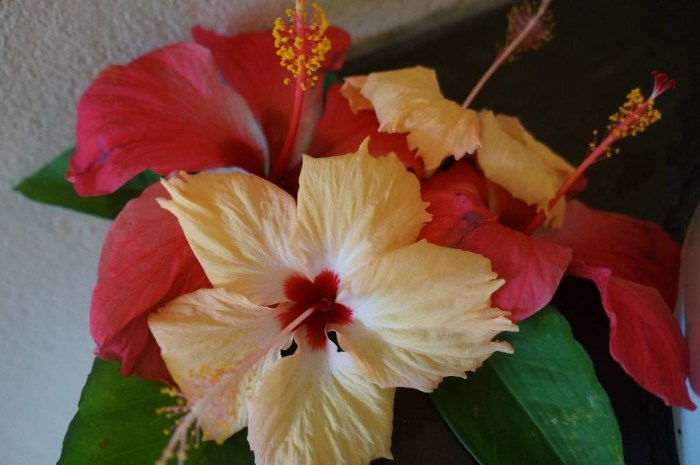 One of the beautiful floral arrangements in our bathroom.