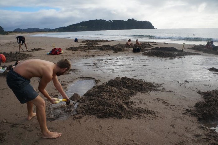 Digging our hot tub on Hot Water Beach