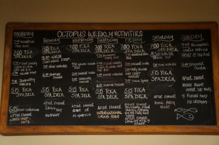 Should you opt to do something other than relax on the beach and take in your beautiful surroundings, there are plenty of activities available for you to do!