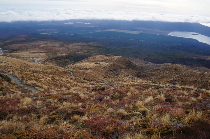 Finally making our way down