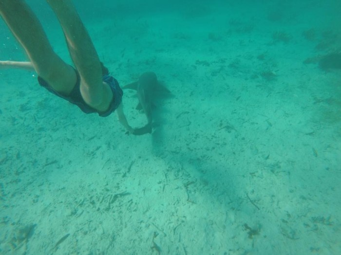 Walker with the shark tail grab