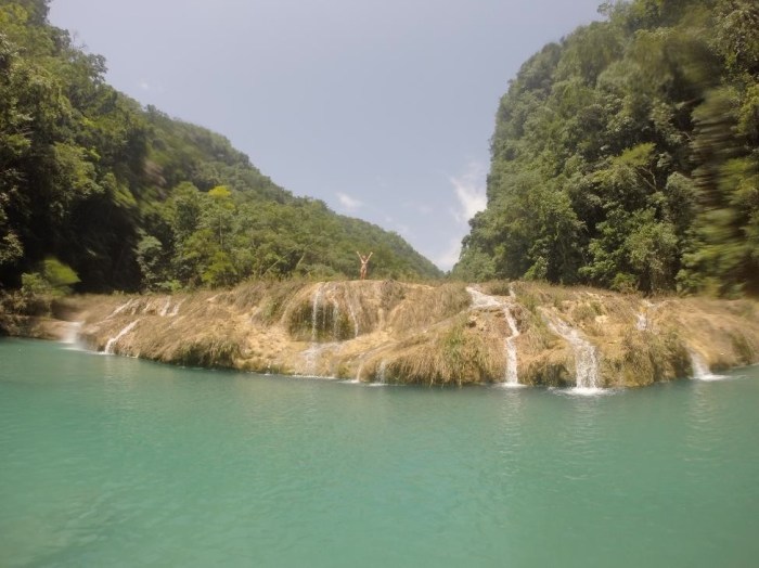 Can you find Alison?