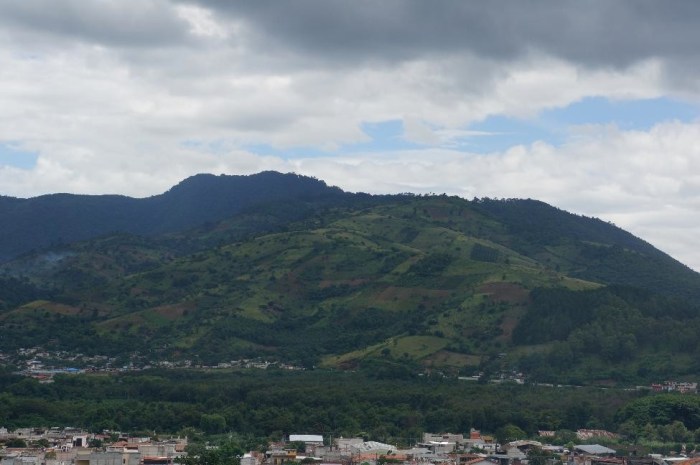 The children's view from their school.