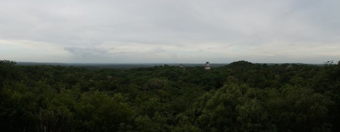 Panoramic view just before sunset from Tower 4 - you can see tower 1 and 2 jutting above the jungle canopy
