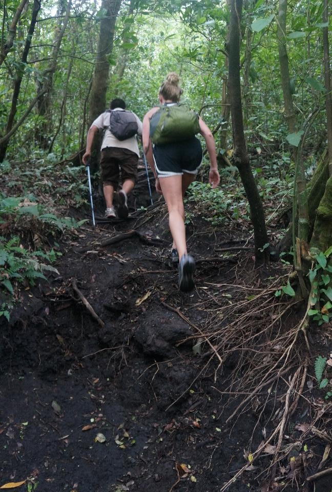 On the way up through the jungle