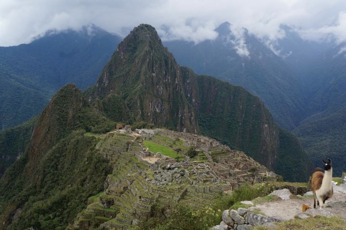 Machu Picchu in all it's glory!