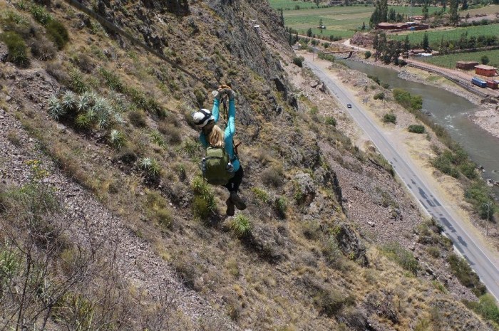 Alison ziplining down