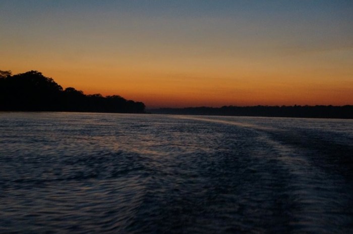 Beautiful sunrise on our morning boat ride to the clay licks.