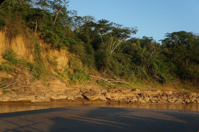 Waiting by the clay lick for the macaws...