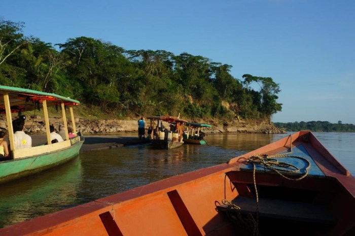 Too many boats scared off the macaws so our guide took us to the other side to see them feeding.