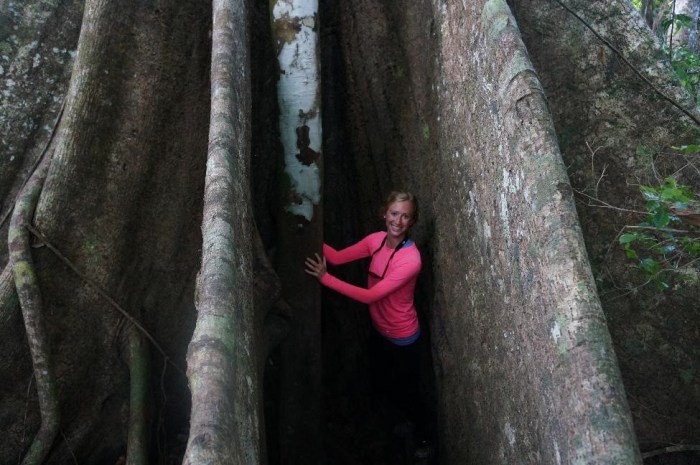 Climbed through a hole in the trunk of this guy!