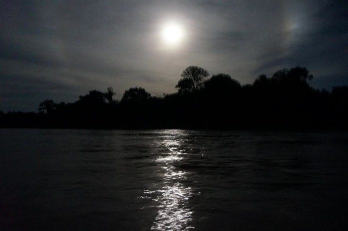 Just a little moonlight lit our way along the river