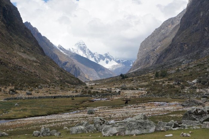 There were a ton of trout teasing me in these rivers on the Santa Cruz trek