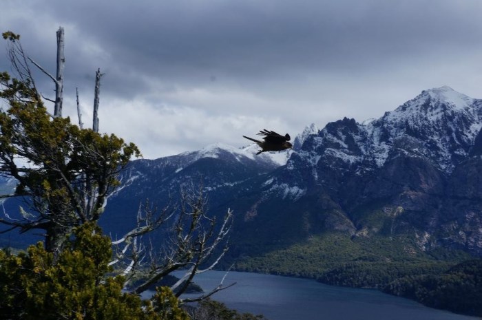 You can never go wrong with a little bird watching!