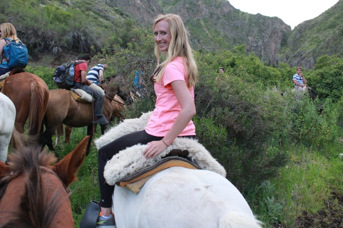 Horseback riding in the Andes