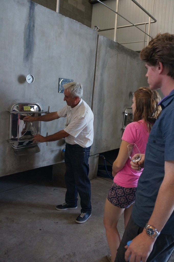 Gabriel giving us a personal tour of his Mairena winery