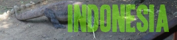 Indonesia